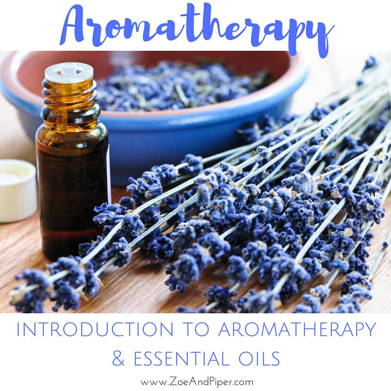 Introduction to Aromatherapy and Essential Oils